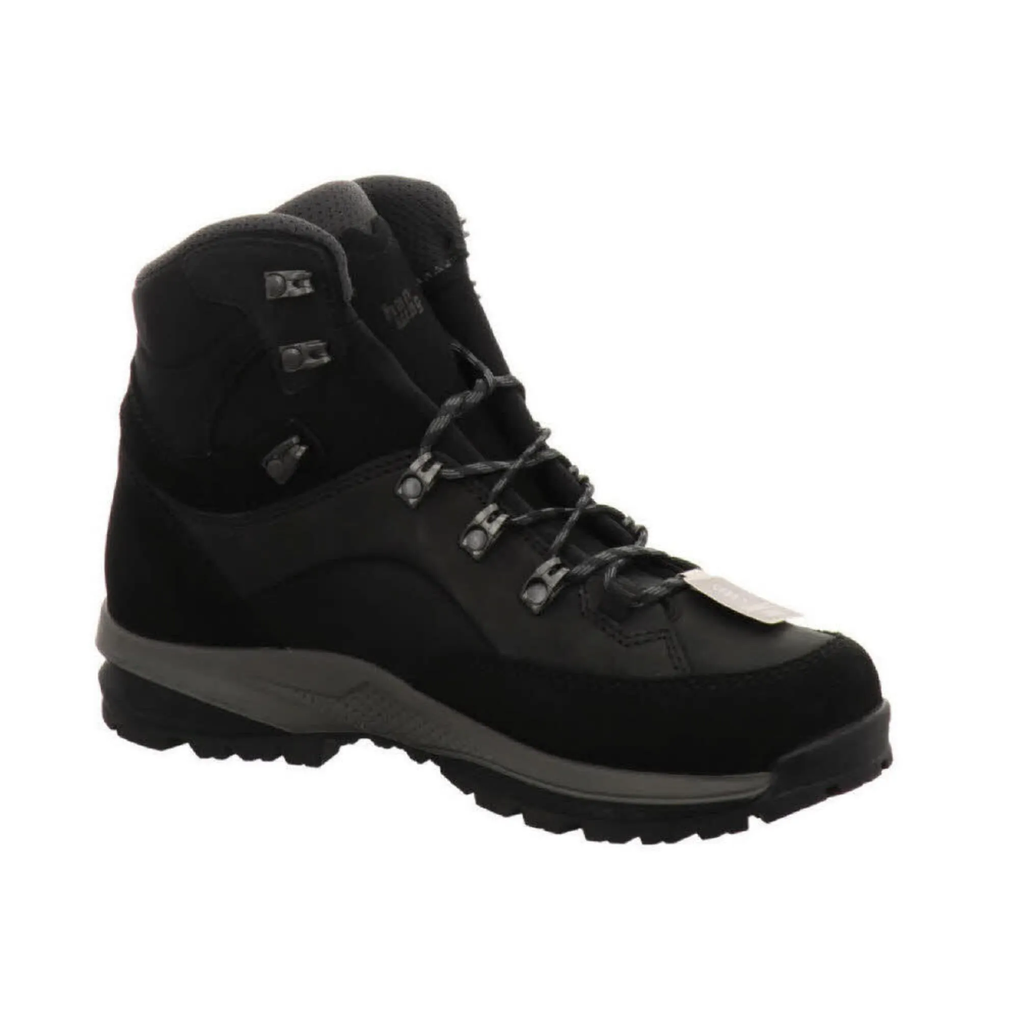 Hiking boots Hanwag Banks SF Extra Men GTX, black